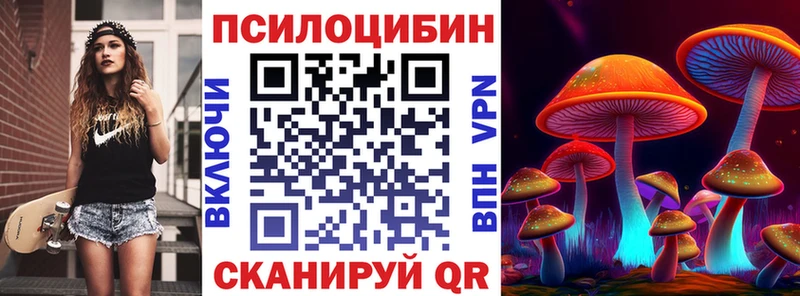 купить наркоту  Джанкой  даркнет телеграм  Галлюциногенные грибы Psilocybe 