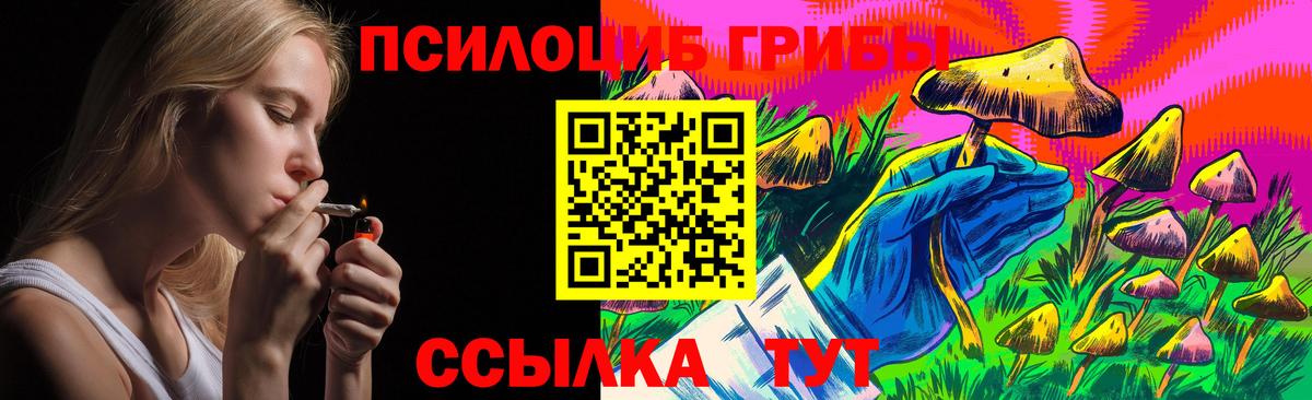 купить   Псилоцибиновые грибы Magic Shrooms  Псилоцибиновые грибы Psilocybe  Вход с VPN  Джанкой 
