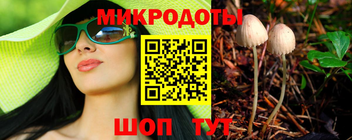 Псилоцибиновые грибы GOLDEN TEACHER Джанкой